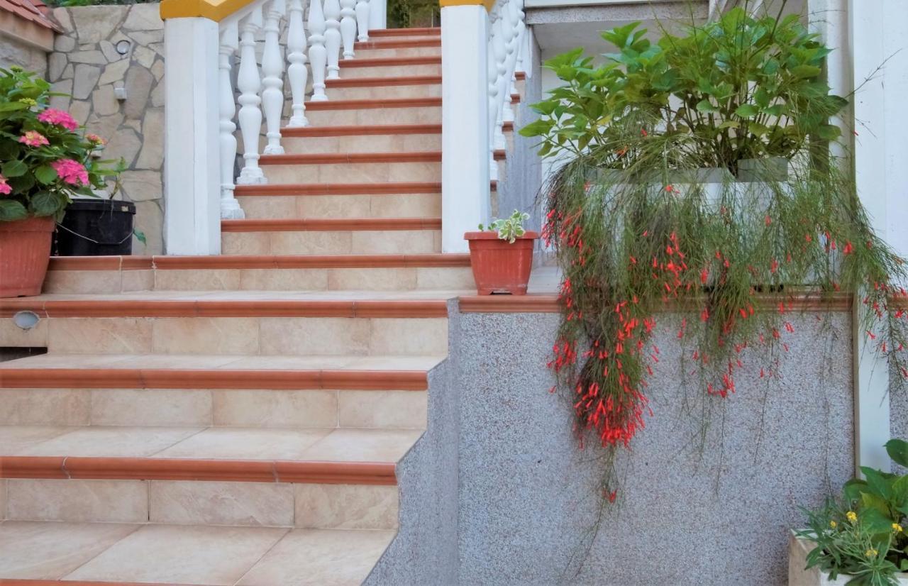 Villa Krivokapic Μπούντβα Εξωτερικό φωτογραφία